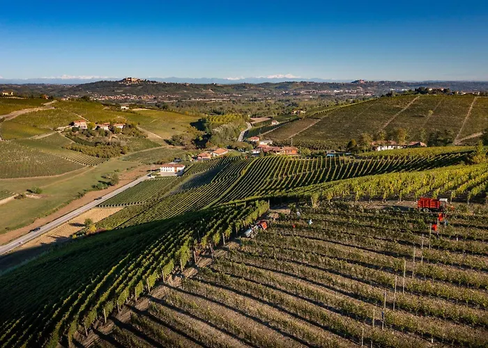 Antichi Poderi Gallina * نيف